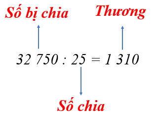  (15 câu)