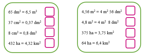 (15 câu)