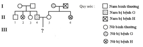 BÀI 13. DI TRUYỀN NGƯỜI VÀ DI TRUYỀN Y HỌC