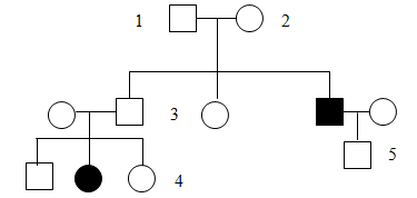 BÀI 14. DI TRUYỀN HỌC NGƯỜI