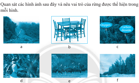 CHƯƠNG 2: LÂM NGHIỆPBÀI 7: GIỚI THIỆU VỀ RỪNG1. NHẬN BIẾT Câu 1: Rừng là một hệ sinh thái bao gồm:A. Thực vật rừng và động vật rừng.B. Đất rừng và thực vật rừng.C. Đất rừng và động vật rừng. D. Sinh vật rừng, đất rừng và các yếu tố môi trường khác.Câu 2: Đâu là các thành phần sinh vật rừng?1. Động vật.2. Vi sinh vật.3. Không khí.4. Thực vật.5. Nước.6. Nấm.7. Con người.8. Máy tỉa cành.  A. 1, 2, 4, 6.B. 1, 2, 4, 5.C. 1, 2, 7, 8.D. 1, 3, 5, 8.Câu 3: Khái niệm về rừng:A. Là một hệ sinh thái bao gồm hệ thực vật rừng, động vật rừng, vi sinh vật rừng.B. Là một hệ sinh thái bao gồm hệ thực vật rừng, động vật rừng, vi sinh vật rừng, đất rừng và các yếu tố môi trường khác, trong đó hệ thực vật là thành phần chính của rừng.C. Là loại rừng được sử dụng chủ yếu để sản xuất, kinh doanh gỗ và lâm sản ngoài gỗ.D. Đáp án khác.Câu 4: Có bao nhiêu loại rừng?A. 2.B. 3.C. 4.D. 5.Câu 5: Các loại rừng ở Việt Nam là:A. Rừng phòng hộB. Rừng phòng hộ, rừng sản xuất, rừng đặc dụng.C. Rừng sản xuất, rừng đặc dụng.D. Rừng phòng hộ, rừng sản xuất.Câu 6: Nội dung nào sau đây là đúng khi nói về vai trò chính của rừng phòng hộ?A. Sản xuất, kinh doanh gỗ và các loại lâm sản.B. Bảo tồn nguồn gene sinh vật.C. Bảo vệ đất, chống xói mòn.D. Phục vụ du lịch và nghiên cứu.Câu 7: Rừng phòng hộ được chia thành mấy loại?A. 2.B. 3.C. 4.D. 5.Câu 8: Nội dung nào sau đây là đúng khi nói về vai trò chính của rừng sản xuất?A. Bảo vệ nguồn nước.B. Cung cấp gỗ và các loại lâm sản.C. Hạn chế thiên tai.D. Bảo vệ di tích lịch sử.Câu 9: Nội dung nào sau đây là đúng khi nói về vai trò chính của rừng đặc dụng?A. Chồng sa mạc hóa.B. Điều hòa khí hậu.C. Hạn chế thiên tai.D. Bảo tồn nguyền gene quý hiếm.Câu 10: Có bao nhiêu loại rừng đặc dụng?A. 2.B. 3.C. 4.D. 5.Câu 11: Đâu là phát biểu đúng về những vai trò chính của rừng sản xuất?1 – Bảo tồn nguồn gene sinh vật.2 – Cung cấp gỗ, củi cho con người.3 – Cung cấp nguồn dược liệu quý cho con người.4 – Cung cấp lương thực, thực phẩm cho con người.5 – Phục vụ nghiên cứu khoa học.6 – Bảo vệ danh lam thắng cảnh.A. 1, 2, 3.B. 2, 3, 4.C. 3, 4, 5.D. 4, 5, 6.Câu 12: Đâu là các phát biểu đúng về những vai trò chính của rừng đặc dụng?1 – Bảo tồn nguồn gene thực vật.2 – Bảo vệ di tích lịch sử.3 – Mở rộng diện tích trồng trọt.4 – Phục vụ nghỉ ngơi và du lịch.5 – Cung cấp nguồn gỗ quý cho con người.6 – Phục vụ nghiên cứu khoa học. A. 1, 2, 3, 4.B. 2, 3, 4, 6.C. 1, 2, 4, 6.D. 3, 4, 5, 6.Câu 13: Đâu không phải là vai trò của rừng phòng hộ?1 – Bảo vệ nguồn nước.2 – Bảo vệ đất, chống xói mòn.3 – Chống sa mạc hóa.4 – Chắn sóng biển, chống sạt lở.5 – Bảo tồn nguồn gene quý hiếm. 6 – Điều hòa không khí, chống ô nhiễm môi trường7 – Ngăn chặn sự xâm nhập mặn của biển.A. 2.B. 3.C. 4.D. 5. 2. THÔNG HIỂU