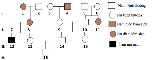 BÀI 14. DI TRUYỀN HỌC NGƯỜI