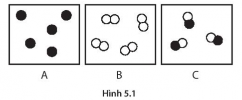 CHƯƠNG II: PHÂN TỬ - LIÊN KẾT HÓA HỌCBÀI 5: PHÂN TỬ -  ĐƠN CHẤT – HỢP CHẤT1. NHẬN BIẾT Câu 1: Đơn chất làA. Những chất được tạo nên từ nguyên tố kim loại.B. Những chất được tạo nên từ nguyên tố phi kim.C. Những chất được tạo nên từ một nguyên tố hóa học.D. Những chất được tạo nên từ nguyên tố khí hiếm.Câu 2: Ozone tạo nên từA. Nitrogen. B. Hydrogen.C. Oxygen.D. Carbon.Câu 3: Than chì, than gỗ, kim cương được tạo nên từA. Carbon.B. Đồng (copper).C. Hydrogen.D. Lithium.Câu 4: Đơn chất được phân loại thànhA. Chất rắn, chất lỏng, chất khí.B. Kim loại, chất tan, kết tủa.C. Kim cương, bán dẫn, phi kim.D. Kim loại, phi kim, khí hiếm.Câu 5: Điền từ còn thiếu vào chỗ trống“Ở điều kiện thường, các (1)…….. tồn tại ở thể rắn (trừ thủy ngân tồn tại ở thể lòng); các (2)…….. có thể tồn tại ở thể rắn, thể khí và thể lỏng. Các khí hiếm đều tồn tại ở (3)…….”A. (1) kim loại, (2) phi kim, (3) thể khí.B. (1) phi kim, (2) kim loại, (3) thể lỏng.C. (1) kim loại, (2) phi kim, (3) thể lỏng.D. (1) phi kim, (2) kim loại, (3) thể khí.Câu 6: Hợp chất được tạo nên từA. Nguyên tố kim loại và nguyên tố phi kim.B. Hai hay nhiều nguyên tố hóa học.C. Hai nguyên tố hóa học.D. Nguyên tố phi kim và nguyên tố khí hiếm. Câu 7: Hợp chất chứa hai nguyên tố làA. Glucoses. B. Calcium carbonate.C. Carbon dioxide.D. Saccharose.Câu 8:  Hợp chất chứa ba nguyên tố là A. Nước.B. Saccharose.C. Ozone.D. Muối ăn.Câu 9: Hợp chất vô cơ làA. Lipit.B. Glucose.C. Protein.D. Nước. Câu 10: Hợp chất hữu cơ làA. Calcium carbonate. B. Saccharose.C. Carbon dioxide.D. Sodium Chloride.Câu 11: Điền từ còn thiếu vào chỗ trống“Phân từ là (1)……. đại diện cho chất, gồm một số (2)…….. liên kết với nhau và thể hiện đầy đủ (3)…… của chất”A. (1) hạt, (2) nguyên tử, (3) tính chất vật lý.B. (1) hạt, (2) nguyên tử, (3) tính chất hóa học.C. (1) hạt, (2) kim loại, (3) tính chất vật lý.D. (1) hạt, (2) phi kim, (3) tính chất vật lý.Câu 12: Phân tử đơn chất được tạo nên bởiA. Các nguyên tử của cùng một nguyên tố kim loại.B. Các nguyên tử của cùng một nguyên tố hóa học. C. Các nguyên tử của cùng một nguyên tố phi kim.D. Các nguyên tử của các nguyên tố hóa học khác nhau.Câu 13: Phân tử hợp chất được tạo nên bởiA. Các nguyên tử của các nguyên tố hóa học khác nhau.B. Các nguyên tử của các nguyên tố phi kim và khí hiếm.C. Các nguyên tử của các nguyên tố kim loại và khí hiếm.D. Các nguyên tử của cùng một nguyên tố hóa học.Câu 14:  Khối lượng của một phân tử được tính theo đơn vịA. mg.B. amu.C. kg.D. g.Câu 15: Khối lượng phân tử của một chất bằngA. Tổng khối lượng của các nguyên tử trong phân tử chất đó.B. Tổng số neutron của các nguyên tử trong phân tử chất đó.C. Tổng khối lượng của electron trong các nguyên tử trong phân tử chất đó.D. Tổng khối lượng của proton trong các nguyên tử trong phân tử chất đó.2. THÔNG HIỂUCâu 1: Một phân tử nước chứa hai nguyên tử hydrogen và một oxygen. Nước làA. Một đơn chất.B. Một hợp chất. C. Một hỗn hợp.D. Một nguyên tố hóa học. Câu 2:Một phân tử ozone chứa ba nguyên tử oxygen. Ozone làA. Một nguyên tố hóa học. B. Một khí hiếm. C. Một hợp chất.D. Một đơn chất.Câu 3: Đèn neon chứaA. Một đại phân tử khổng lồ chứa rất nhiều nguyên tử neon.B. Các phân tử khí neon Ne2.C. Các nguyên tử neon (Ne) riêng rẽ không liên kết với nhau.D. Một nguyên tử neon.Câu 4: Một bình khí oxygen chứaA. Các nguyên tử oxygen riêng rẽ không liên kết với nhau.B. Các phân tử O2.C. Một đại phân tử khổng lồ chứa rất nhiều nguyên tử oxygen.D. Một nguyên tử O2.Câu 5: Tượng đồng chứa A. Các phân tử Cu2.B. Một đại phân tử khổng lồ chứa rất nhiều nguyên tử Cu.C. Các nguyên tử Cu riêng rẽ không liên kết với nhau.D. Rất nhiều nguyên tử Cu liên kết với nhau.Câu 6: Cho các hình sau, trong đó mỗi hình tròn biểu diễn 1 nguyên tử, các vòng tròn đen và trắng biểu diễn các nguyên tử của các nguyên tố hóa học khác nhau. Chọn đáp án đúngA. Hộp A chứa các phân tử của một hợp chất.B. Hộp B chứa các phân tử của một đơn chất.C. Hộp C chứa các phân tử của hai hợp chất.D. Hộp B chứa các nguyên tử của một hợp chất.Câu 7: Dãy gồm các đơn chấtA. Li, Cu, Cl2, O3.B. Li, Cu, NaCl, CO2.C. Li, Cu, Na2O, CuCl2.D. Li, Cu, FeO, CaCO3.Câu 8: Dãy gồm các hợp chấtA. CaO, NaCl, NaOH, CO2.B. FeO, CuO, Cl2, O3.C. FeO, CuO, Na2O, O3.D. FeO, CuO, BaCl2, O3.Câu 9: Dãy gồm các hợp chất tạo thành từ 2 nguyên tố hóa học A. CaO, NaCl, K2O, CO2.B. FeO, CuO, Na2O, O3.C. CaO, CuO, FeO, CaCO3.D. Na2O, Cu, FeO, CaCO3.Câu 10: Dãy gồm các hợp chất tạo thành từ 3 nguyên tố hóa học A. CaCO3, HNO3, CH3OH, NaOH.B. BaCO3, NH3, CH3OH, KOH.C. CaCO3, H2O, CH3OH, KOH.D. CO2, HNO3, NaOH, NaOH.Câu 11:  Cho các phân tử SO2, Ca, FeO, CaCO3. Chọn đáp án đúngA. Phân tử SO2 tạo thành từ 2 nguyên tử.B. Phân tử FeO tạo thành từ hai nguyên tố hóa học.C. Phân tử CaCO3 tạo thành từ hai nguyên tố hóa học.D. Phân tử CaCO3 tạo thành từ ba nguyên tử. Câu 12: Phân tử nước được tạo thành từ 1 nguyên tử oxygen và 2 nguyên tử hydrogen. Khối lượng của phân tử nước làA. 17 amu.B. 8 amu.C. 18 amu.D. 7 amu.Câu 13: Phân tử carbon dioxide được tạo thành từ 1 nguyên tử carbon và 2 nguyên tử oxygen. Khối lượng của phân tử carbon dioxide làA. 18 amu.B. 28 amu.C. 44 amu.D. 64 amuCâu 14: Chọn đáp án saiA. Kim cương và than chì đều cấu tạo từ nguyên tố carbon.B. Kim cương rất quý và đắt tiền.C. Có thể điều chế kim cương nhân tạo bởi nung than chì dưới áp suất cao, trên 6000 atm ở nhiệt độ khoảng 1500 độ C.D. Than chì màu trắng trong.Câu 15: Chọn đáp án saiA. Phân tử nước gồm 2 nguyên tử hidrogen và 1 nguyên tử oxygen.B. Than chì được cấu tạo tạo từ nguyên tố C.C. Than chì được ứng dụng làm ruột bút chì.D. Chlorine là kim loại.3. VẬN DỤNG 