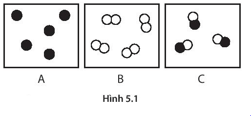 BÀI 5: PHÂN TỬ - ĐƠN CHẤT – HỢP CHẤT