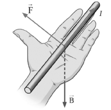 BÀI 10: LỰC TỪ. CẢM ỨNG TỪ