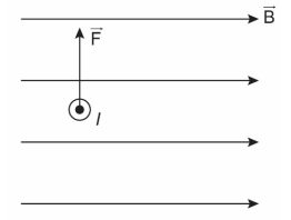 BÀI 10: LỰC TỪ. CẢM ỨNG TỪ