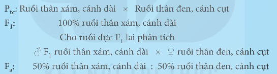 BÀI 45: DI TRUYỀN LIÊN KẾT