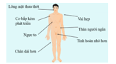 CHƯƠNG XIII. DI TRUYỀN HỌC VỚI CON NGƯỜI VÀ ĐỜI SỐNG