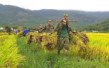 CHỦ ĐỀ 11: CUỘC SỐNG MUÔN MÀU