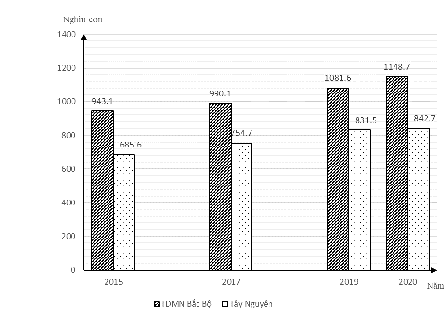 Tech12h