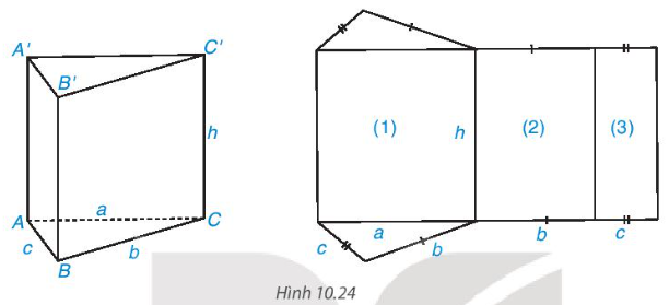 BÀI 37. HÌNH LĂNG TRỤ ĐỨNG TAM GIÁC VÀ HÌNH LĂNG TRỤ ĐỨNG TỨ GIÁC