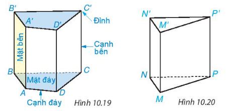 BÀI 37. HÌNH LĂNG TRỤ ĐỨNG TAM GIÁC VÀ HÌNH LĂNG TRỤ ĐỨNG TỨ GIÁC