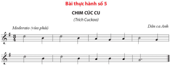 TIẾT 24: NHẠC CỤ: SÁO RECORDER VÀ KÈN PHÍM