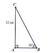 BÀI 12: MỘT SỐ HỆ THỨC GIỮA CẠNH, GÓC TRONG TAM GIÁC VUÔNG VÀ ỨNG DỤNG(14 CÂU)