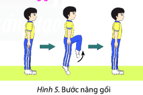 CHỦ ĐỀ 1: THỂ DỤC AEROBICNỘI DUNG CHỦ ĐỀNỘI DUNGTUẦN123456789101112Bài 1: Bảy bước cơ bản thế dục Aerobic (4 tiết)- Bước diễu hành+ - - -     - Bước chạy bộ+ - - -     - Bước đá chân cao+ - - -     - Bước nâng gối+ - - -     - Bước tách chụm dọc + - - -    - Bước tách chụm ngang + - - -    - Bước cách quãng + - - -    Bài 2: Nghe nhạc và đếm nhịp (4 tiết)- Vỗ tay theo nhịp  + - -     - Bước chân theo nhịp nhạc   +- -     - Một số điều luật cơ bản trong Thể dục Aerobic   +        Bài 3: Các tư thế cơ bản của tay trong thể dục Aerobic (6 tiết)- Nhóm động tcs chuyển động hướng trước, sau của tay   + - -    - Nhóm động tác chuyển động hướng trái, phải, ngang của tay   + - -    - Nhóm động tác chuyển động hướng phối hợp trước và ngang của tay    + - -   Bài 4: Bài thể dục Aerobic liên hoàn cơ bản (10 tiết)- Động tác 1 và 2     +-     - Động tác 3 và 4      +--   - Động tác 5 và 6       +-   - Động tác 7 và 8        +-  Ghép bài với nhạc         +- Ôn bài          +-Một số trò chơi vận động++++++++++++Kí hiệu: (+) học nội dung mới                                 (-) nội dung ôn tậpBÀI 1: BẢY BƯỚC CƠ BẢN THỂ DỤC AEROBIC