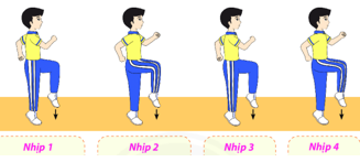 BÀI 4: BÀI THỂ DỤC AEROBIC LIÊN HOÀN CƠ BẢN