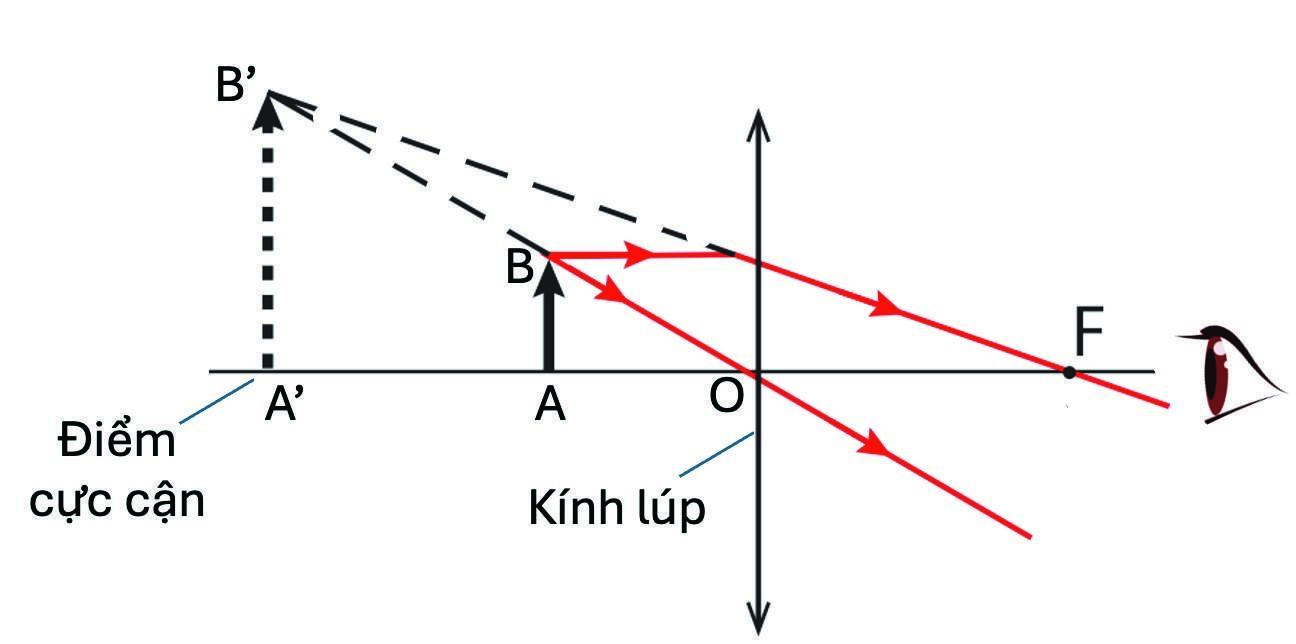 BÀI 10. KÍNH LÚP. BÀI TẬP THẤU KÍNH HOẠT ĐỘNG KHỞI ĐỘNGGV yêu cầu HS thảo luận và trả lời:Em đã từng dùng kính lúp bao giờ chưa? Nếu đã dùng thì dùng trong trường hợp nào?HOẠT ĐỘNG HÌNH THÀNH KIẾN THỨCHoạt động 1. Cấu tạo kính lúpHS thảo luận trả lời câu hỏi: Em hãy trình bày cấu tạo của kính lúp?Nêu công dụng và công thức tính số bội của kính lúp?Sản phẩm dự kiến:- Cấu tạo của kính lúp: kính lúp là thấu kính hội tụ có tiêu cự ngắn (cỡ cm).- Công dụng của kính lúp: dùng để quan sát các vật nhỏ.- Công thức tính số bội giác của kính lúp: G = Trong đó:G là số bội giác, f (cm) là tiêu cự của kính lúp.Hoạt động 2. Cách quan sát một vật nhỏ qua kính lúpHS thảo luận trả lời câu hỏi: Khi quan sát một vật nhỏ qua kính lúp, cần chú ý điều gì?Sản phẩm dự kiến:- Để quan sát được ảnh của vật qua kính lúp một cách rõ nét, ta phải đặt vật trong khoảng tiêu cự của kính vì kính lúp là thấu kính hội tụ, đặt vật trong khoảng tiêu cự mới tạo ra ảnh ảo và lớn hơn vật.- Cần điều chỉnh sao cho ảnh của vật hiện ra trong khoảng nhìn rõ của mắt.- Ngắm chừng ở cực cận: đặt kính lúp sao cho ảnh của vật xuất hiện ở điểm cực cận của mắt.- Ngắm chừng ở vô cực: đặt vật ở vị trí d = f, ảnh của vật hiện ra ở vô cực.- Ảnh của vật qua kính lúp trong trường hợp ngắm chừng ở cực cận:Hoạt động 3. Vẽ sơ đồ tạo ảnh qua thấu kính hội tụHS thảo luận trả lời câu hỏi: Em hãy nêu các bước tiến hành vẽ sơ đồ tạo ảnh qua thấu kính hội tụ?Sản phẩm dự kiến:- Các bước tiến hành để vẽ sơ đồ tạo ảnh qua thấu kính hội tụ.+ Bước 1: Chọn tỉ lệ xích thích hợp.+ Bước 2: Xác định giá trị tiêu cự f của thấu kính; các khoảng cách từ vật và ảnh tới thấu kính d, d ; các độ cao của vật và ảnh h, h' theo cùng một tỉ lệ xích đã chọn.+ Bước 3: Vẽ sơ đồ tạo ảnh của vật theo các giá trị đã xác định được.HOẠT ĐỘNG LUYỆN TẬPCâu 1: Khi nói về kính lúp, phát biểu nào sau đây là sai?A. Kính lúp là dụng cụ quang bổ trợ cho mắt để quan sát các vật nhỏB. Vật cần quan sát đặt trước kính lớp cho ảnh ảo có số phóng đại lớnC. Kính lúp đơn gian là một thấu kính hội tụ có tiêu cự ngắnD. Vật cần quan sát đặt trước kính lúp cho ảnh thật có số phóng đại lớnCâu 2: Khi quan sát một vật bằng kính lúp, để mắt nhìn thấy một ảnh ảo lớn hơn vật ta cần phải:A. đặt vật ngoài khoảng tiêu cự.B. đặt vật trong khoảng tiêu cự.C. đặt vật sát vào mặt kính.D. đặt vật bất cứ vị trí nào.Câu 3: Chọn câu phát biểu không đúng.A. Kính lúp có số bội giác càng nhỏ thì tiêu cự càng dài.B. Kính lúp có số bội giác càng lớn thì tiêu cự càng dài.C. Số bội giác của kính lúp không ảnh hưởng đến chiều dài của tiêu cự D. Kính lúp có số bội giác càng lớn thì tiêu cự càng ngắn.Câu 4: Thấu kính nào dưới đây có thể dùng làm kính lúp?A. Thấu kính phân kì có tiêu cự 10 cm.B. Thấu kính phân kì có tiêu cự 50 cm.C. Thấu kính hội tụ có tiêu cự 50 cm.D. Thấu kính hội tụ có tiêu cự 10 cm.Câu 5: Khi quan sát một vật bằng kính lúp, để mắt nhìn thấy một ảnh ảo lớn hơn vật ta cần phảiA. đặt vật ngoài khoảng tiêu cự.B. đặt vật trong khoảng tiêu cự.C. đặt vật sát vào mặt kính.D. đặt vật bất cứ vị trí nào.HOẠT ĐỘNG VẬN DỤNG