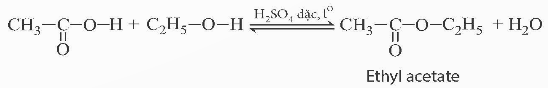 BÀI 27. ACETIC ACID