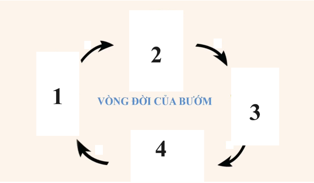 TRƯỜNG TIỂU HỌC ........HƯỚNG DẪN CHẤM THI HỌC KÌ 1 (2024 – 2025)MÔN: KHOA HỌC 5 – CHÂN TRỜI SÁNG TẠOA. PHẦN TRẮC NGHIỆM: (6,0 điểm) Mỗi câu trả lời đúng được 0,5 điểm.   123456ACADAC789101112ABAABCB. PHẦN TỰ LUẬN: (4,0 điểm)CâuNội dung đáp ánBiểu điểmCâu 1(1,0 điểm)- Nguyên nhân gây ô nhiễm đất: + Nguyên nhân do con người: sử dụng không hợp lí phân bón hóa học và thuốc bảo vệ thực vật trong nông nghiệp; các chất ô nhiễm từ chất thải do hoạt động công nghiệp, xây dựng và sinh hoạt; cháy rừng do một số hoạt động của con người;…+ Nguyên nhân do tự nhiên: nhiễm mặn, nhiễm phèn; cháy rừng do sét đánh, núi lửa phun trào;… 0,5 điểm    0,5 điểm Câu 2 (1,0 điểm)Nhóm động vật đẻ trứng:- Gà- Vịt- NgỗngNhóm động vật đẻ con:-  Ngựa- Lợn - Bò- Chuột 0,5 điểm   0,5 điểm Câu 3(1,0 điểm)- 4 biện pháp bảo vệ môi trường đất:+ Sử dụng hợp lí phân bón hóa học.+ Trồng rừng và khai thác rừng hợp lí.+ Xử lí rác thải theo quy định.+ Tăng cường sử dụng phân bón hữu cơ.  0,25 điểm0,25 điểm0,25 điểm0,25 điểmCâu 4(1,0 điểm)+ Đầu tiên, nước đã chuyển từ trạng thái rắn (viên nước đá) sang trạng thái lỏng (nước trong cốc).+ Tiếp theo, nước đã chuyển từ trạng thái lỏng (nước trong cốc) sang trạng thái khí (hơi nước).   0,5đ 0,5đ  TRƯỜNG TIỂU HỌC .........MA TRẬN ĐỀ THI HỌC KÌ 1 (2024 – 2025)MÔN: KHOA HỌC  5 – CHÂN TRỜI SÁNG TẠOCHỦ ĐỀ/ Bài họcMỨC ĐỘTổng số câuĐiểm sốMức 1Nhận biếtMức 2Kết nốiMức 3Vận dụngTNTLTNTLTNTLTNTLCHẤTThành phần và vai trò của đất100000100.5Ô nhiễm, xói mòn đất và bảo vệ môi trường đất020000002.0Hỗn hợp và dung dịch000000000Sự biến đổi của chất000100011.0NĂNG LƯỢNGNăng lượng và vai trò của năng lượng200000201.0Mạch điện đơn giản001000100.5Vật dẫn điện và vật cách điện100000100.5Sử dụng năng lượng điện000000000Năng lượng chất đốt000000000Năng lượng mặt trời, gió và nước chảy000000000THỰC VẬT VÀ ĐỘNG VẬT Sự sinh sản của thực vật có hoa000010100.5Sự lớn lên và phát triển của thực vật202000402.0Sự sinh sản của động vật010000011.0Sự lớn lên và phát triển của động vật001010101.0Tổng số câu TN/TL63412012410,0Điểm số3,03,02,01,01,007,03,010.0Tổng số điểm6,0đ60%3,0đ30%1,0đ10%10,0đ100%10,0đ100% TRƯỜNG TIỂU HỌC .........BẢN ĐẶC TẢ KĨ THUẬT ĐỀ THI HỌC KÌ 1 (2024 – 2025)MÔN: KHOA HỌC 5 – CHÂN TRỜI SÁNG TẠO