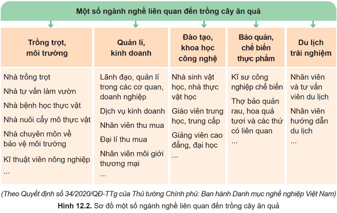 CHỦ ĐỀ 4. NGÀNH NGHỀ LIÊN QUAN ĐẾN TRỒNG CÂY ĂN QUẢ