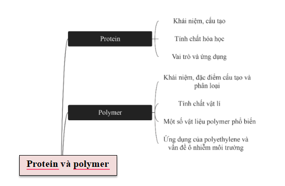 BÀI TẬP CHỦ ĐỀ 9