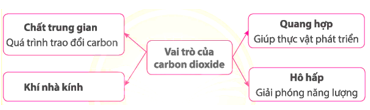 BÀI 34. NGUỒN CARBON. CHU TRÌNH CARBON VÀ SỰ ẤM LÊN TOÀN CẦU