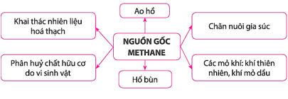 BÀI 34. NGUỒN CARBON. CHU TRÌNH CARBON VÀ SỰ ẤM LÊN TOÀN CẦU