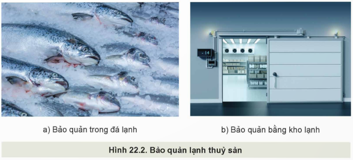 BÀI 22: BẢO QUẢN VÀ CHẾ BIẾN SẢN PHẨM THỦY SẢN