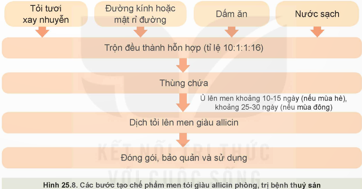 BÀI 25: ỨNG DỤNG CÔNG NGHỆ SINH HỌC TRONG PHÒNG, TRỊ BỆNH THỦY SẢN