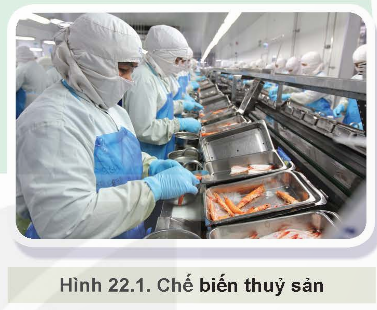 BÀI 22: BẢO QUẢN VÀ CHẾ BIẾN SẢN PHẨM THỦY SẢN