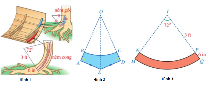 BÀI 5: ĐỘ DÀI CUNG TRÒN, DIỆN TÍCH HÌNH QUẠT TRÒN, DIỆN TÍCH HÌNH VÀNH KHUYÊN