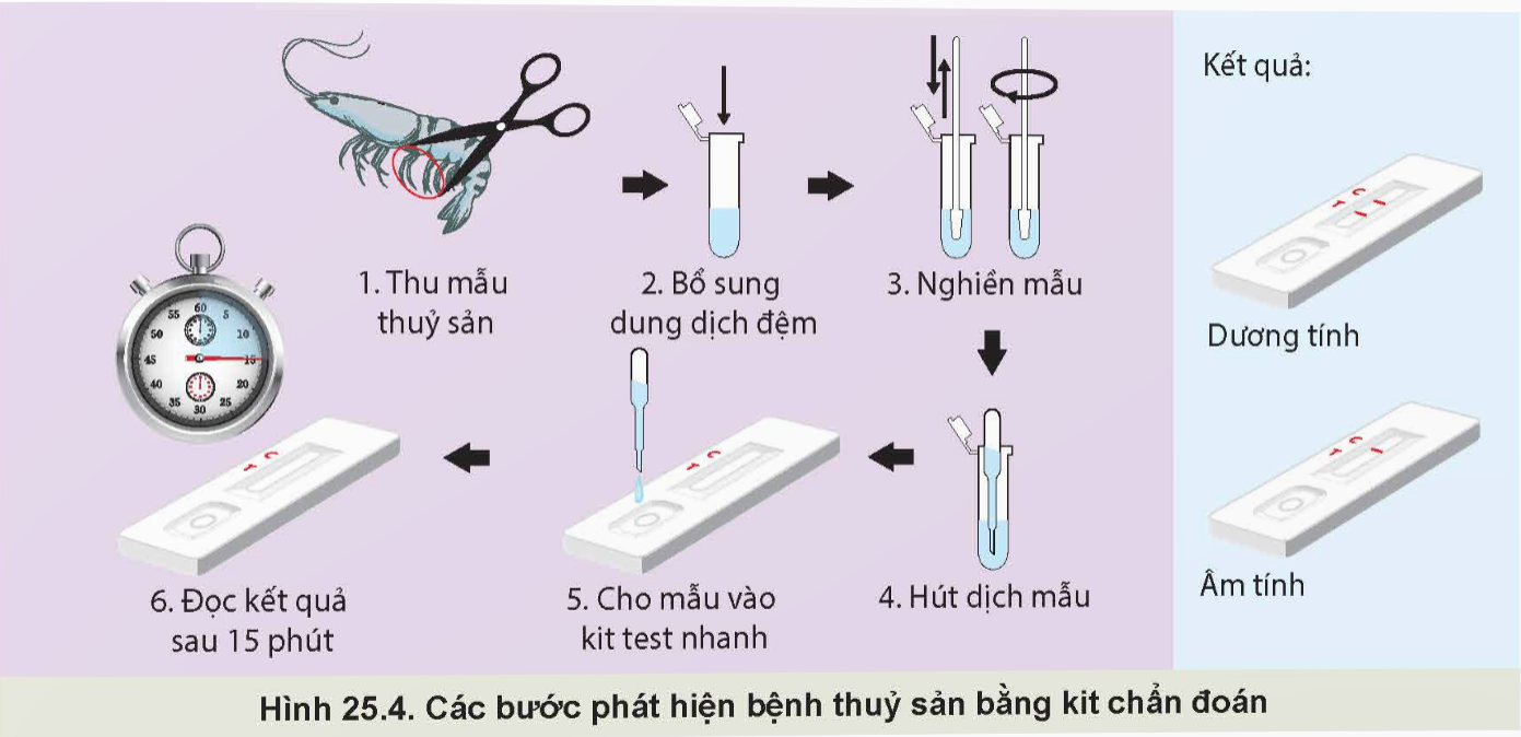 BÀI 25: ỨNG DỤNG CÔNG NGHỆ SINH HỌC TRONG PHÒNG, TRỊ BỆNH THỦY SẢN