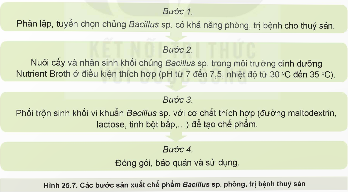 BÀI 25: ỨNG DỤNG CÔNG NGHỆ SINH HỌC TRONG PHÒNG, TRỊ BỆNH THỦY SẢN