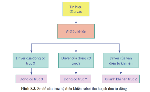 BÀI 8. HÌNH THÀNH Ý TƯỞNG VÀ LẬP KẾ HOẠCH NGHIÊN CỨU DỰ ÁN THIẾT KẾ ROBOT THU HOẠCH DỨA TỰ ĐỘNG