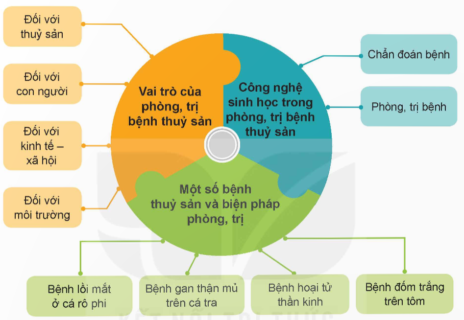 ÔN TẬP CHƯƠNG IX