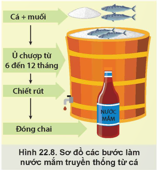 BÀI 22: BẢO QUẢN VÀ CHẾ BIẾN SẢN PHẨM THỦY SẢN