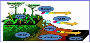 BÀI 35. KHAI THÁC NHIÊN LIỆU HÓA THẠCH.NGUỒN CARBON. CHU TRÌNH CARBON VÀ SỰ ẤM LÊN TOÀN CẦU