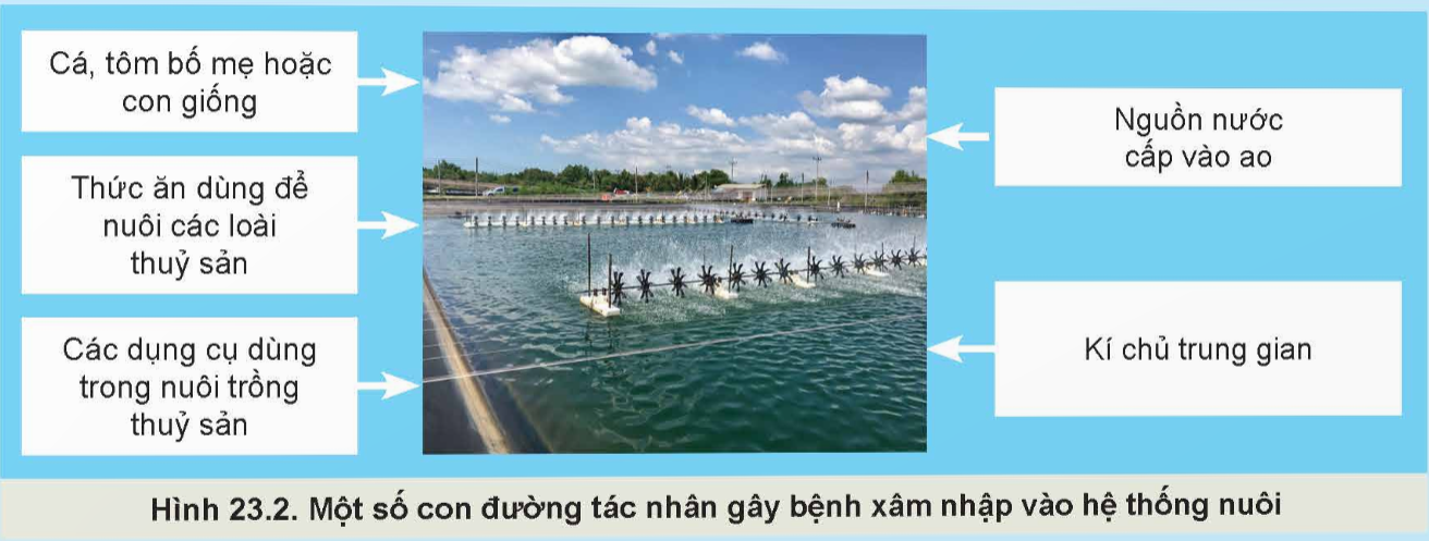 CHƯƠNG IX: PHÒNG, TRỊ BỆNH THỦY SẢN