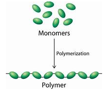 BÀI 32. POLYMER
