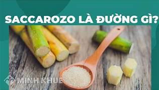 BÀI 27. GLUCOSE VÀ SACCHAROSEHOẠT ĐỘNG KHỞI ĐỘNGGV yêu cầu HS thảo luận và trả lời: Em biết gì về hiện tượng hạ đường huyết? Biểu hiện, nguyên nhân, cách phòng tránh và xử trí khi bị hạ đường huyết là gì?HOẠT ĐỘNG HÌNH THÀNH KIẾN THỨCHoạt động 1. Thành phần nguyên tố, công thức chung, công thức phân tử của carbohydrateGV đặt câu hỏi hướng dẫn học sinh tìm hiểu: Em hãy nêu thành phần nguyên tố, công thức chung, công thức phân tử của một số loại carbohydrate phổ biến.Sản phẩm dự kiến:- Thành phần nguyên tố: C, H, O.- Công thức chung: Cn(H2O)m.- Một số loại carbohydrate phổ biến:GlucoseC6H12O6SaccharoseC12H22O11Tinh bột và cellulose(C6H10O5)n Hoạt động 2. Trạng thái tự nhiên, tính chất vật lí của glucose và saccharoseGV đưa ra câu hỏi: Em hãy trình bày công thức phân tử, tính chất vật lí của glucose và saccharose. Liệt kê một số sản phẩm chứa glucose và saccharose.Sản phẩm dự kiến:- Công thức phân tử:+ Glucose: C6H12O6.+ Saccharose: C12H22O11.- Tính chất vật lí: đều là chất rắn, dạng tinh thể không màu, không mùi, vị ngọt, tan nhiều trong nước.- Một số sản phẩm chứa glucose và saccharose:Sản phẩm chứa glucose :Trái cây chínMật ong Sản phẩm chứa saccharose :Mía  Củ cải đườngHoa thốt nốt ……………………………………………..HOẠT ĐỘNG LUYỆN TẬPTừ nội dung bài học, GV yêu cầu HS hoàn thành các bài tập trắc nghiệm sau:Câu 1: Đường cung cấp chất dinh dưỡng quan trọng cho người và động vật, tuy nhiên tại sao chúng ta không nên nạp quá nhiều đường vào cơ thể?A. Dễ gây cảm giác chán ăn.B. Có nguy cơ mắc nhiều bệnh như tiểu đường, rối loạn tiêu hóa,…C. Giảm khả năng hấp thu các chất dinh dưỡng khác.D. Gây hạ đường huyết.Câu 2: Vì sao đường tinh luyện được sản xuất từ nước ép củ cải đường, cây mía?A. Trong các loại cây này có chứa chất xúc tác cho phản ứng tạo ra đường.B. Trong các loại cây này có chứa rất nhiều đường glucose.C. Trong các loại cây này có chứa rất nhiều đường saccharose.D. Trong các loại cây này có chất lên men tạo ra đường.Câu 3: Tại sao người bị tiểu đường phải hạn chế ăn trái cây chín ngọt?A. Trong trái cây chín ngọt có nhiều chất kháng insulin.B. Trong trái cây chín ngọt chứa nhiều đường glucose.C. Trái cây chín ngọt có chứa chất gây hạ đường huyết.D. Trái cây chín ngọt có chứa chất gây béo phì.Câu 4: Khi đun nóng dung dịch saccharose với dung dịch acid, thu được dung dịch có phản ứng tráng gương, doA. saccharose bị đồng phân hóa thành maltose.B. saccharose bị thủy phân thành glucose và fructose.C. trong phân tử saccharose có nhóm chức aldehyde.D. saccharose bị thủy phân thành các aldehyde đơn giản.Câu 5: Lên men hoàn toàn dung dịch chứa m gam glucose thu được dung dịch chứa 23 gam ethylic alcohol. Giá trị của m làA. 30 gam.B. 35 gam.C. 40 gam.D. 45 gam.Sản phẩm dự kiến:Câu 1 - BCâu 2 - CCâu 3 - BCâu 4 - BCâu 5 - D HOẠT ĐỘNG VẬN DỤNG