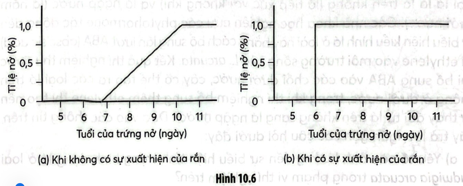 HƯỚNG DẪN CHẤM KIỂM TRA HỌC KÌ 1 (2024 – 2025)MÔN: SINH HỌC 12 – CHÂN TRỜI SÁNG TẠO--------------------------------------TRƯỜNG THPT .........BẢNG NĂNG LỰC VÀ CẤP ĐỘ TƯ DUYMÔN: SINH HỌC 12 – CHÂN TRỜI SÁNG TẠONăng lựcCấp độ tư duyPHẦN IPHẦN IIPHẦN IIIBiếtHiểuVận dụngBiếtHiểu Vận dụngBiếtHiểuVận dụng1. Nhận thức sinh học102214 21 2. Tìm hiểu thế giới sống 11281 113. Vận dụng kiến thức kĩ năng đã học 11   1  Tổng1044312132145%40%15%TRƯỜNG THPT .........BẢN ĐẶC TẢ KĨ THUẬT ĐỀ KIỂM TRA HỌC KÌ 1 (2024 – 2025)