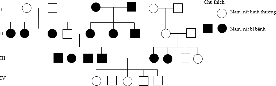 BÀI 13: DI TRUYỀN HỌC NGƯỜI VÀ DI TRUYỀN Y HỌC