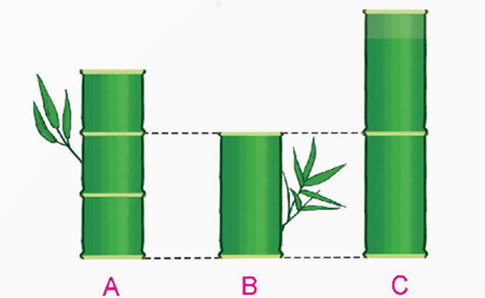 PHIẾU HỌC TẬP 1BÀI 80: PHÉP NHÂN PHÂN SỐ1. Tính rồi rút gọn các phân số sau?a,  x                 b,  x                 c,   x                d,  x ......................................................................................................................................................................................................................................................................................................................................................................................................................….2. Tính?......................................................................................................................................................................................................................................................................................................................................................................................................................…..........................................................................................................................................3. Các biểu thức nào có giá trị bằng nhau?.................................................................................................................................................................................................................................................................................................................................................................................................................................................................................................................................................................... PHIẾU HỌC TẬP 2