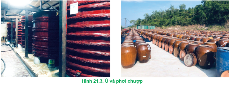 BÀI 21: BẢO QUẢN VÀ CHẾ BIẾN THỦY SẢN