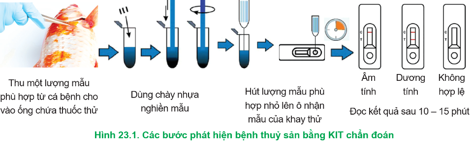 BÀI 23: ỨNG DỤNG CÔNG NGHỆ SINH HỌC TRONG PHÒNG, TRỊ BỆNH THỦY SẢN