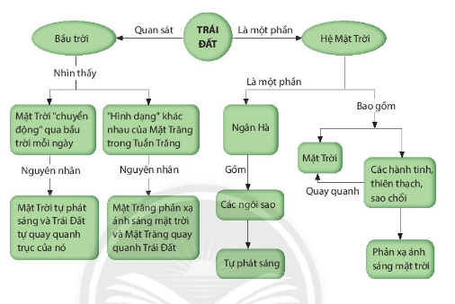 ÔN TẬP CHỦ ĐỀ 11