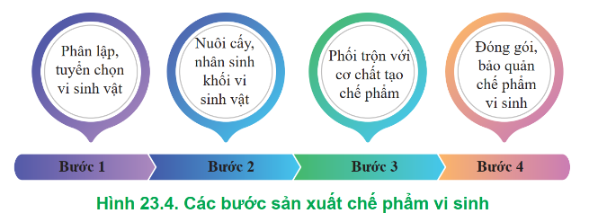 BÀI 23: ỨNG DỤNG CÔNG NGHỆ SINH HỌC TRONG PHÒNG, TRỊ BỆNH THỦY SẢN