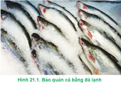 BÀI 21: BẢO QUẢN VÀ CHẾ BIẾN THỦY SẢN