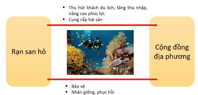 BÀI 9: GIÁ TRỊ CỦA SINH THÁI NHÂN VĂN TRONG MỘT SỐ LĨNH VỰC