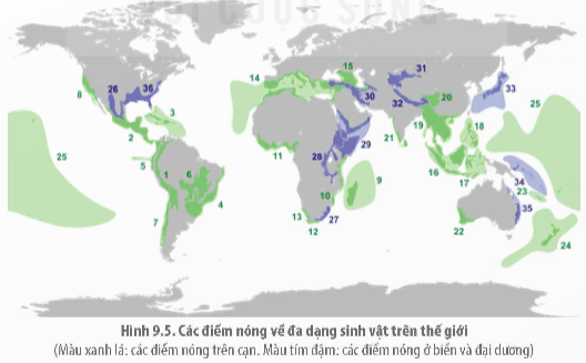 BÀI 9: GIÁ TRỊ CỦA SINH THÁI NHÂN VĂN TRONG MỘT SỐ LĨNH VỰC